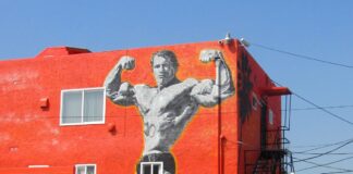 Arnold Schwarzenegger rules for success
