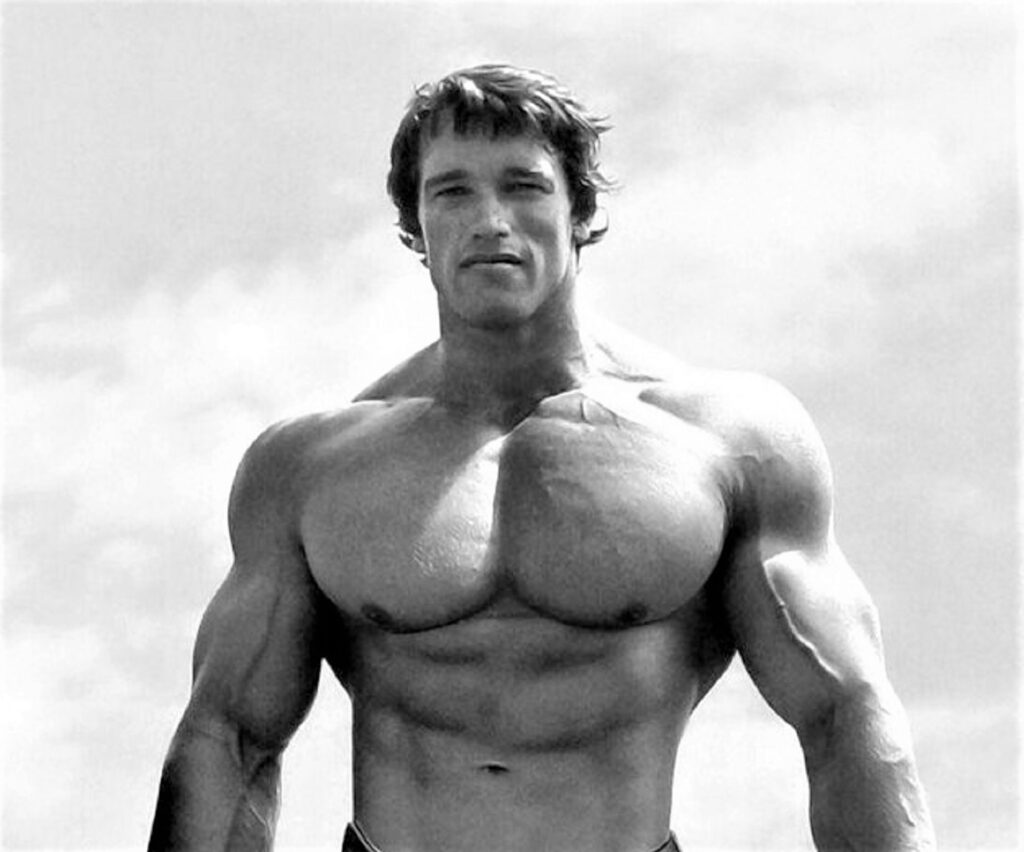 Arnold Schwarzenegger body now